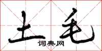 土毛怎么写好看，土毛书法图片