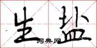 生盐怎么写好看，生盐书法图片