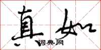 真如怎么写好看，真如书法图片