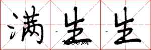 满生生怎么写好看，满生生书法图片