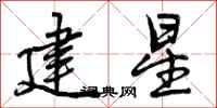 建星怎么写好看，建星书法图片