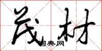 茂材怎么写好看,茂材书法图片