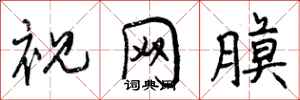 视网膜怎么写好看，视网膜书法图片