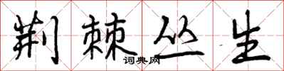 荆棘丛生怎么写好看,荆棘丛生书法图片