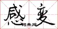 感变怎么写好看,感变书法图片