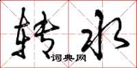 转水怎么写好看,转水书法图片
