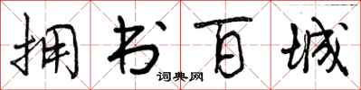 拥书百城怎么写好看，拥书百城书法图片