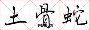 曾庆福土骨蛇行书怎么写