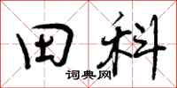 田科怎么写好看,田科书法图片