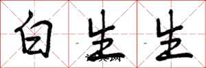 白生生怎么写好看，白生生书法图片