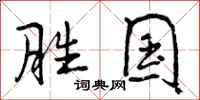 胜国怎么写好看，胜国书法图片