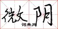微阴怎么写好看，微阴书法图片