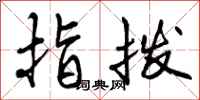 指拨怎么写好看，指拨书法图片