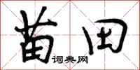 苗田怎么写好看，苗田书法图片