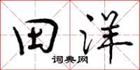 田洋怎么写好看，田洋书法图片