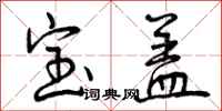 宝盖怎么写好看，宝盖书法图片