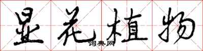 显花植物怎么写好看，显花植物书法图片