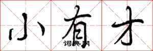 小有才怎么写好看,小有才书法图片