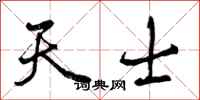 天士怎么写好看，天士书法图片