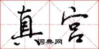 真宫怎么写好看，真宫书法图片
