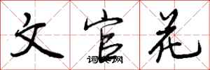 文官花怎么写好看，文官花书法图片