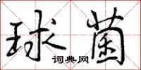 球菌怎么写好看，球菌书法图片