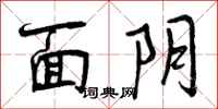 面阴怎么写好看,面阴书法图片