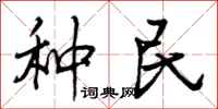 种民怎么写好看，种民书法图片