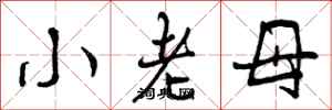 小老母怎么写好看,小老母书法图片