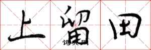 上留田怎么写好看，上留田书法图片