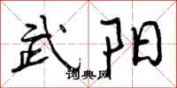 武阳怎么写好看,武阳书法图片