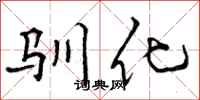 驯化怎么写好看，驯化书法图片