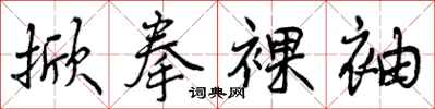 掀拳裸袖怎么写好看，掀拳裸袖书法图片