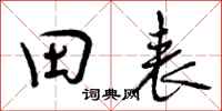 田表怎么写好看，田表书法图片