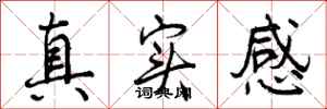真实感怎么写好看，真实感书法图片