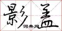 影盖怎么写好看，影盖书法图片