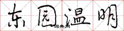 东园温明怎么写好看，东园温明书法图片