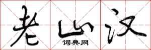 老山汉怎么写好看，老山汉书法图片