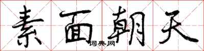 素面朝天怎么写好看,素面朝天书法图片