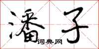 潘子怎么写好看,潘子书法图片