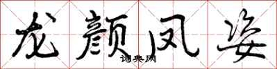 龙颜凤姿怎么写好看，龙颜凤姿书法图片