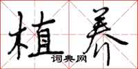 植养怎么写好看，植养书法图片