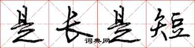 是长是短怎么写好看,是长是短书法图片