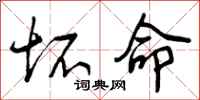 坏命怎么写好看,坏命书法图片
