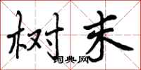 树末怎么写好看，树末书法图片