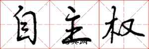 自主权怎么写好看，自主权书法图片