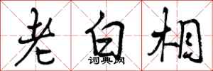 老白相怎么写好看，老白相书法图片