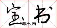 宝书怎么写好看，宝书书法图片