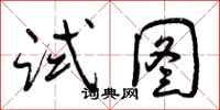 试图怎么写好看，试图书法图片