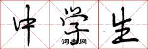 中学生怎么写好看,中学生书法图片